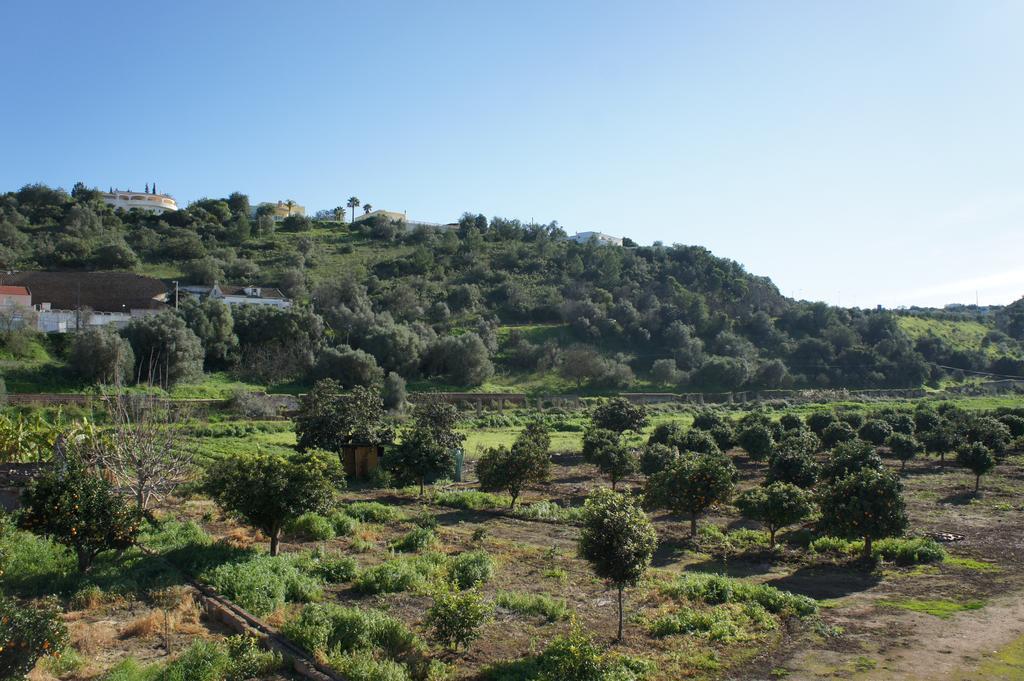 Hotel Horta Grande Silves Zewnętrze zdjęcie